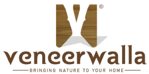 veneerwalla_logo Final removebg preview 1